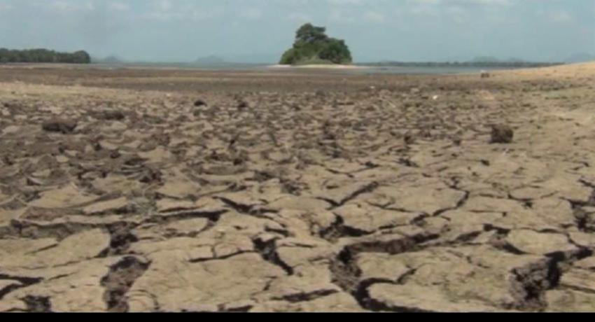 Dry Spell: Wild animals in Yala in crisis